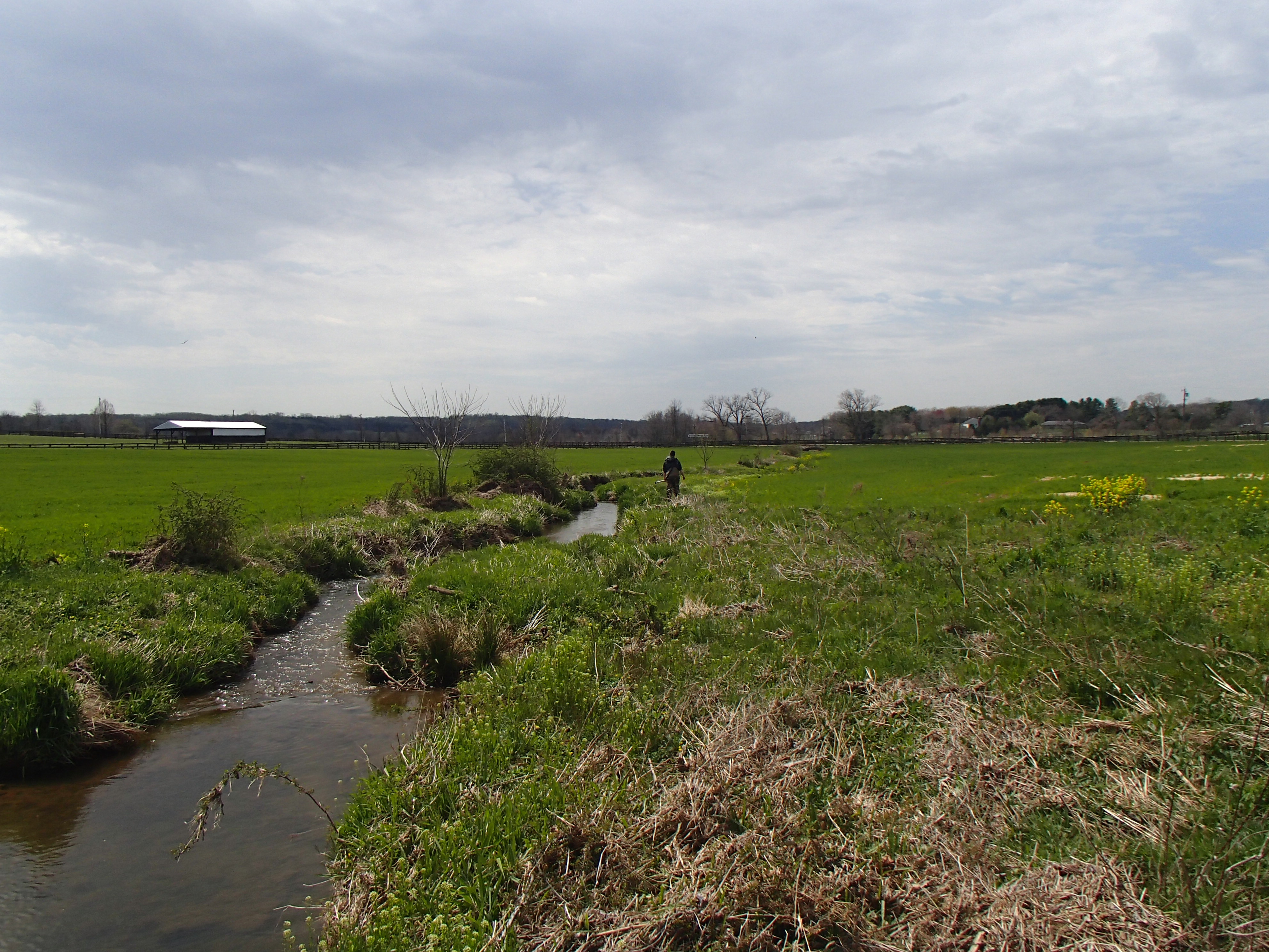 Field photo showing stream conditions at site LOGU-211-R-2016_Midpoint looking downstream
